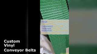 Soluções personalizadas de correia transportadora de vinil