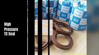 TC Oil Seal Uso Industrial Flexível de Alta Pressão